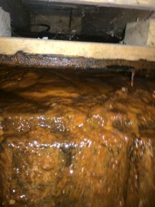 Contamination par l’ocre ferreux sous la dalle de béton intérieur à Terrebonne et ses environs - Alain Fissure à mascouche
