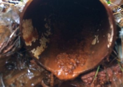 Entretien d’un système de drainage nettoyage sous pression avec beaucoup d’ocre ferreux à Terrebonne et ses environs - Alain Fissure à mascouche