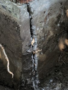 Photos de fissure avec Racine à Terrebonne et ses environs - Alain Fissure à mascouche