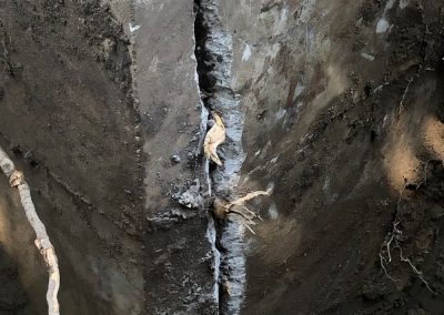 Photos de fissure avec Racine à Terrebonne et ses environs - Alain Fissure à mascouche