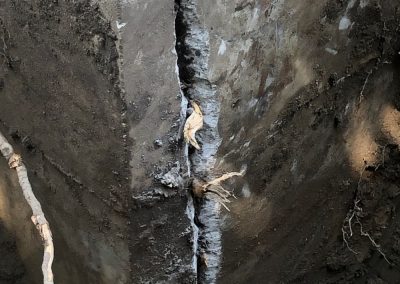 Photos de fissure avec Racine à Terrebonne et ses environs - Alain Fissure à mascouche