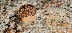 Drain français bloqué par de la boue - Alain Fissure