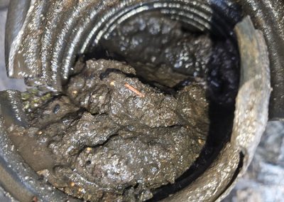 Inspection de drain français bloqué par de la boue - Alain Fissure