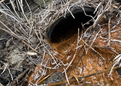 Un inspection et un entretien régulier des drain français pour éviter le pire